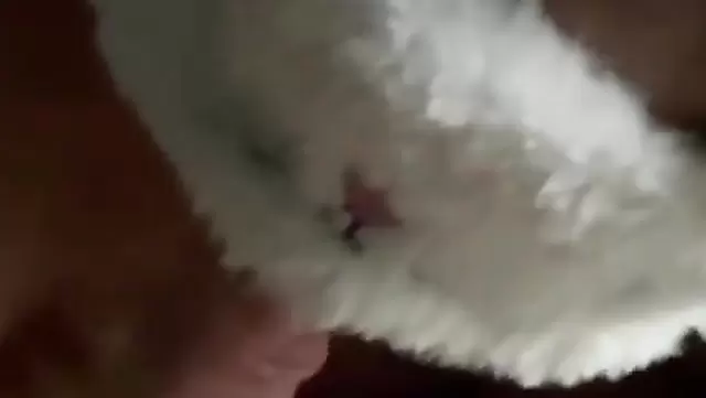 Tajik girl with pussy toy giving blowjob